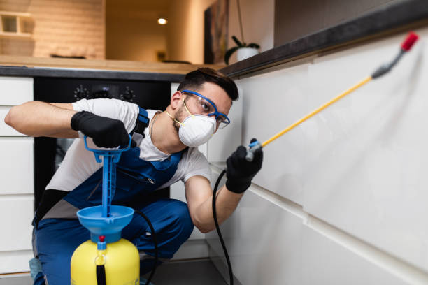 Best Cockroach Control Services  in Montello, WI