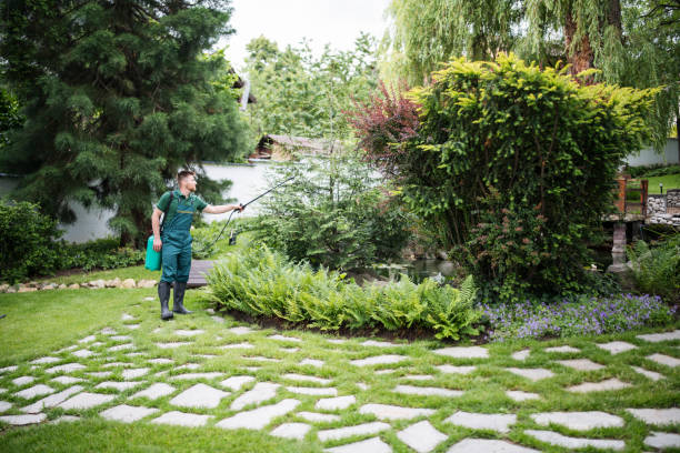 Best Pest Control for Businesses  in Montello, WI