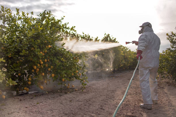 Insect Control in Montello, WI
