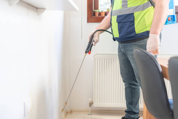 Best Wasp Removal Services  in Montello, WI