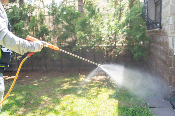 Best Affordable Pest Control Services  in Montello, WI