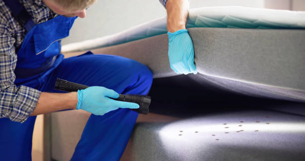 Best Flea Control Services  in Montello, WI