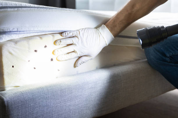 Best Wildlife Control Services  in Montello, WI