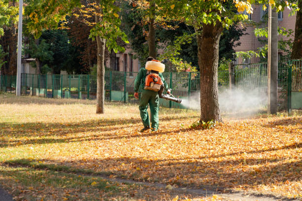 Best Termite Control Services  in Montello, WI