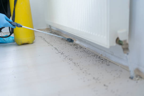 Best Bed Bug Extermination  in Montello, WI