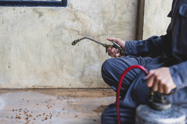 Best Affordable Pest Control Services  in Montello, WI